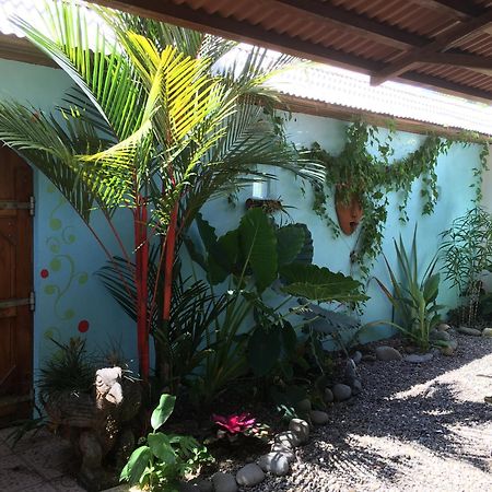 Sueno Grande B&B Puerto Viejo de Talamanca 外观 照片