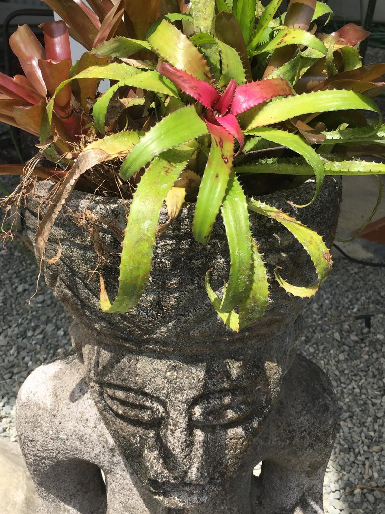Sueno Grande B&B Puerto Viejo de Talamanca 客房 照片